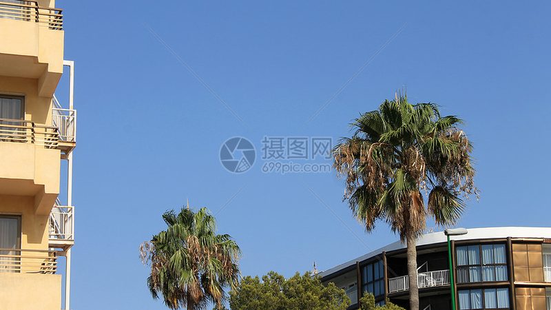行业现状：度假村加盟市场蓬勃发展，竞争激烈